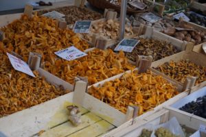 A stunning array of seasonal mushrooms at the Nyon Saturday market.